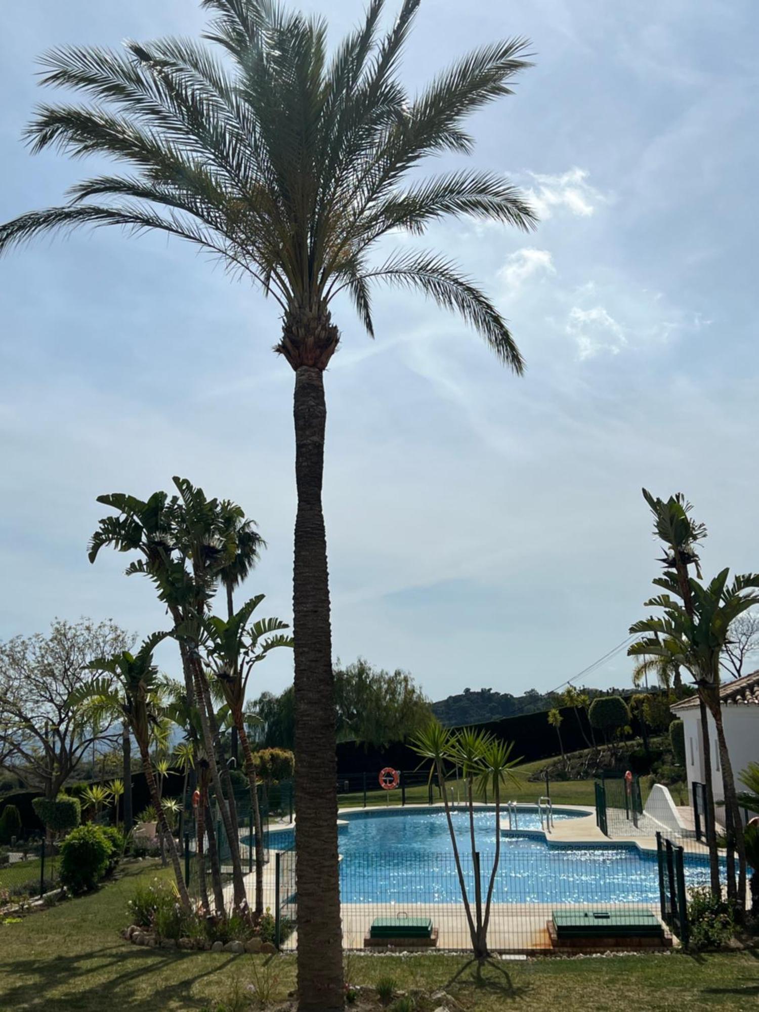 Finca San Antonio Two Bedroom Apartment With Swimming Pool Mijas Εξωτερικό φωτογραφία